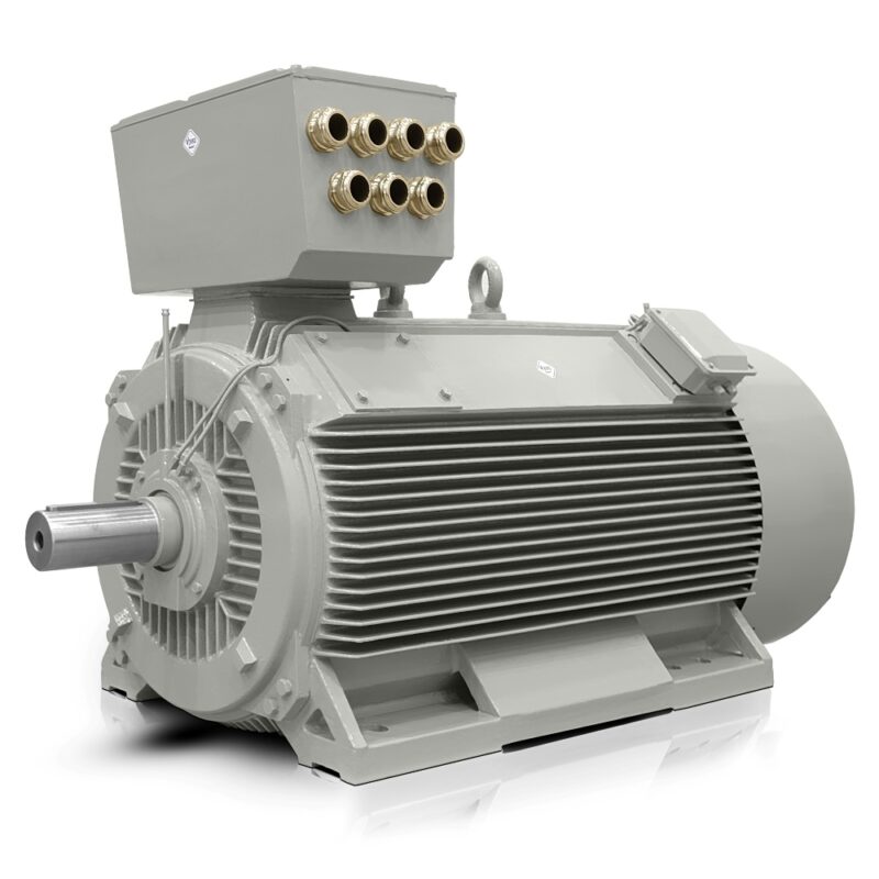 Niederspannungs Elektromotor 450kW H17RL 400V/690V 2-polig Auf Lager